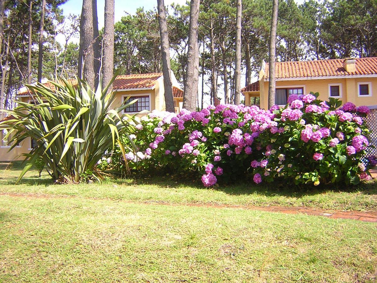 Pino Dorado Aparthotel Manantiales ภายนอก รูปภาพ