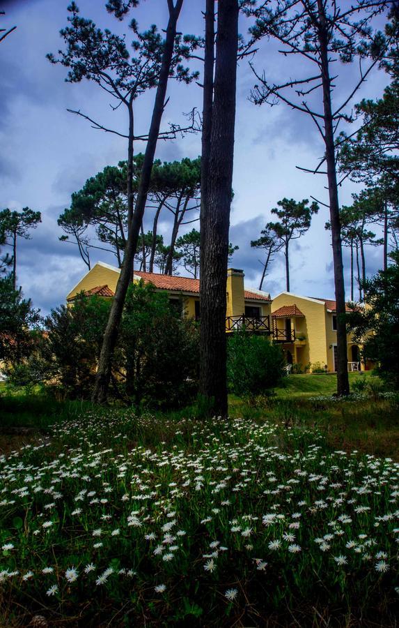 Pino Dorado Aparthotel Manantiales ภายนอก รูปภาพ
